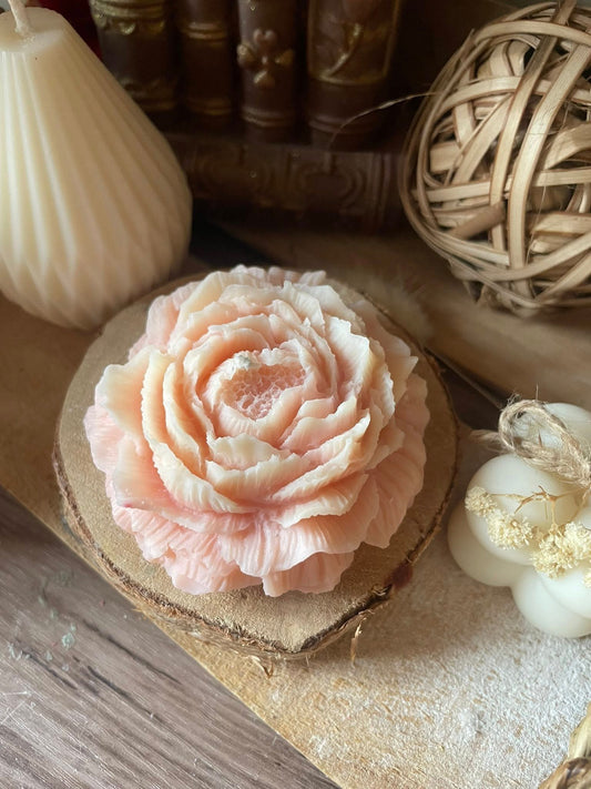 Bougie Pivoine